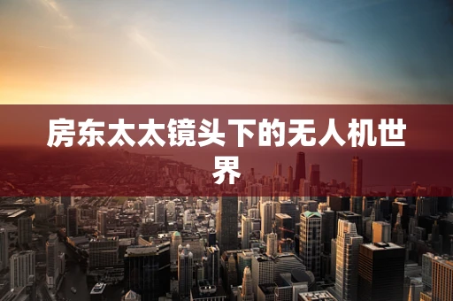 房东太太镜头下的无人机世界