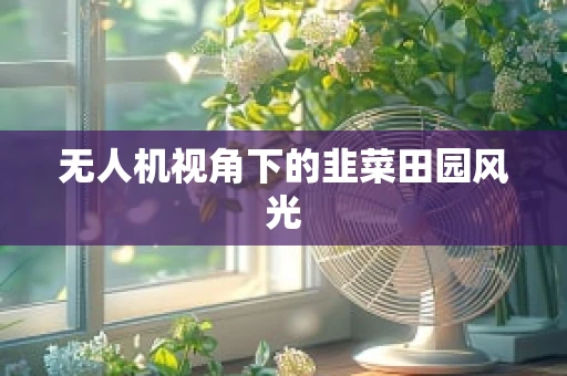 无人机视角下的韭菜田园风光
