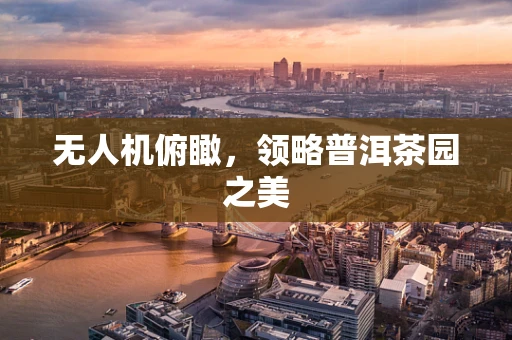 无人机俯瞰，领略普洱茶园之美