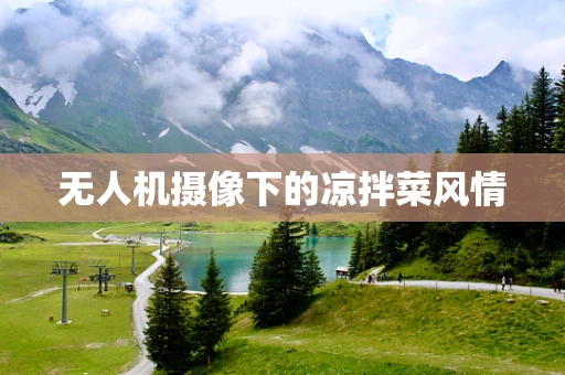 无人机摄像下的凉拌菜风情
