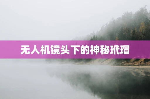 无人机镜头下的神秘玳瑁