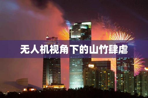 无人机视角下的山竹肆虐