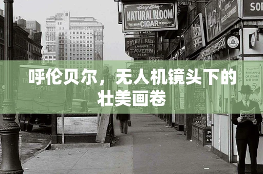 呼伦贝尔，无人机镜头下的壮美画卷