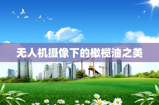 无人机摄像下的橄榄油之美