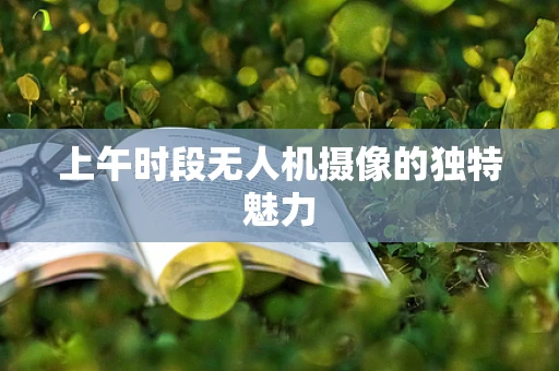 上午时段无人机摄像的独特魅力