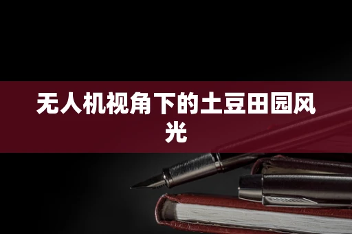 无人机视角下的土豆田园风光