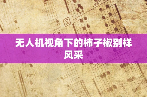 无人机视角下的柿子椒别样风采