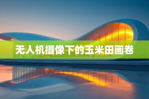 无人机摄像下的玉米田画卷