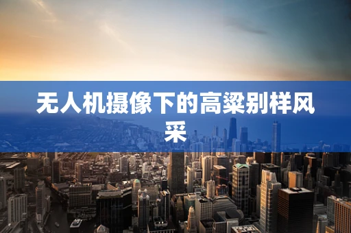 无人机摄像下的高粱别样风采