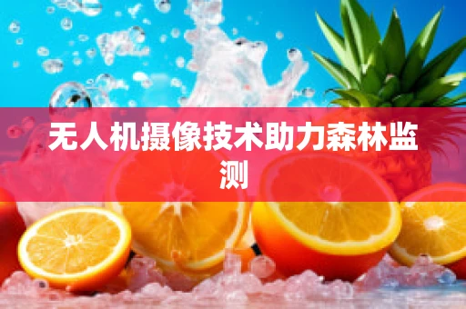 无人机摄像技术助力森林监测