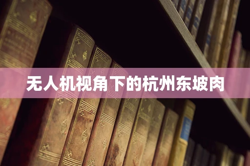 无人机视角下的杭州东坡肉