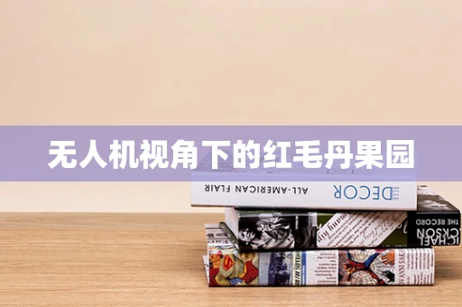 无人机视角下的红毛丹果园