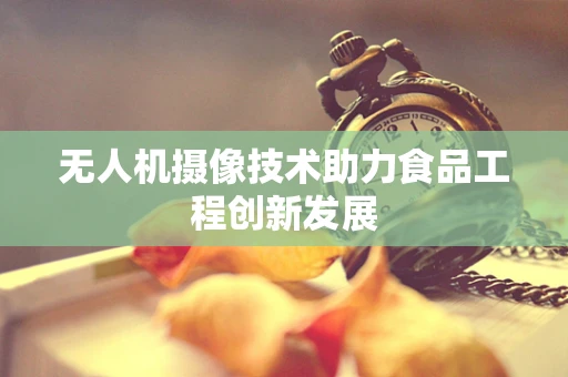 无人机摄像技术助力食品工程创新发展