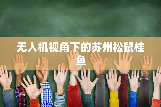 无人机视角下的苏州松鼠桂鱼