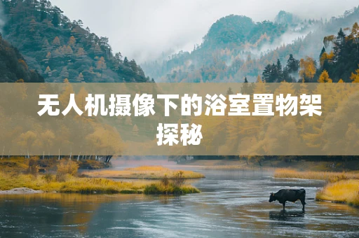 无人机摄像下的浴室置物架探秘