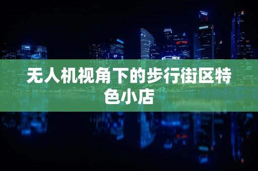 无人机视角下的步行街区特色小店