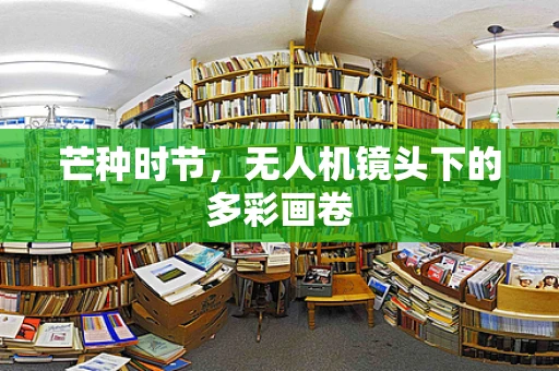 芒种时节，无人机镜头下的多彩画卷