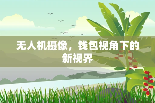 无人机摄像，钱包视角下的新视界