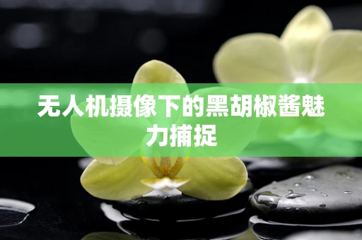 无人机摄像下的黑胡椒酱魅力捕捉