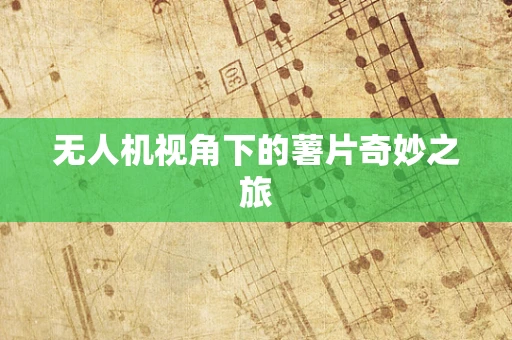 无人机视角下的薯片奇妙之旅