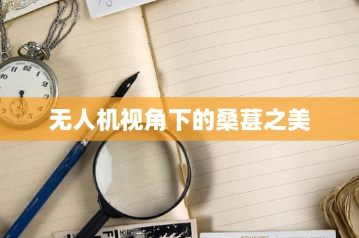 无人机视角下的桑葚之美