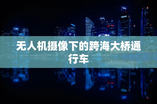 无人机摄像下的跨海大桥通行车