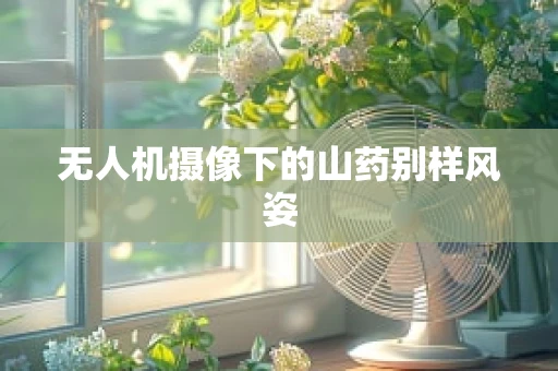无人机摄像下的山药别样风姿