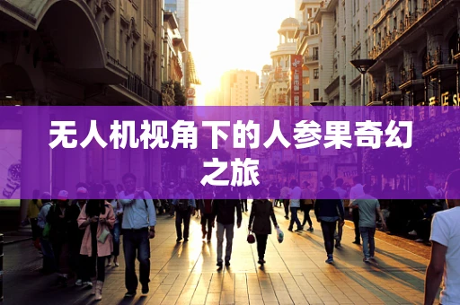 无人机视角下的人参果奇幻之旅