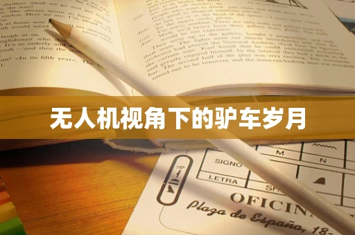无人机视角下的驴车岁月