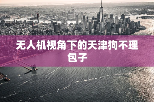无人机视角下的天津狗不理包子