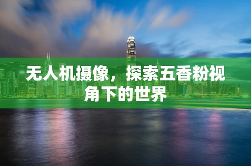 无人机摄像，探索五香粉视角下的世界