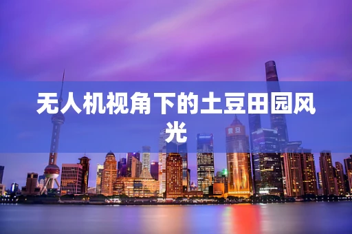 无人机视角下的土豆田园风光