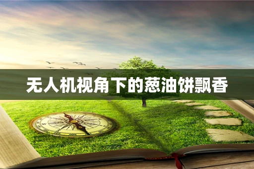 无人机视角下的葱油饼飘香