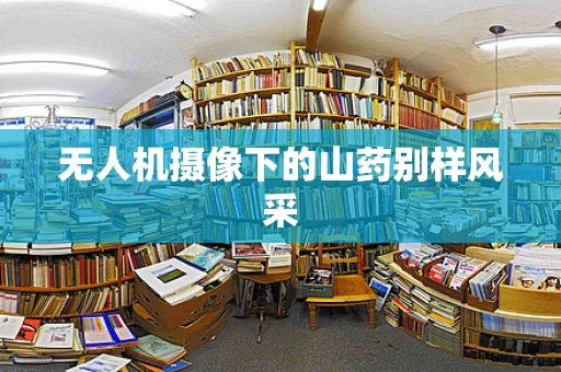 无人机摄像下的山药别样风采