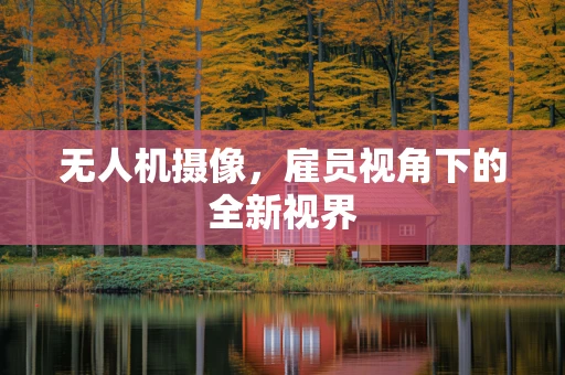 无人机摄像，雇员视角下的全新视界