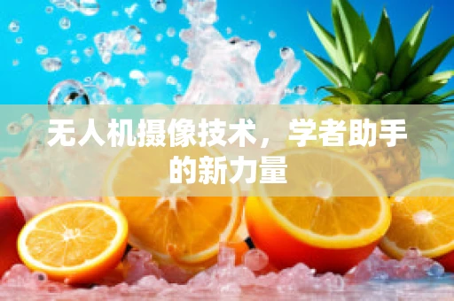 无人机摄像技术，学者助手的新力量