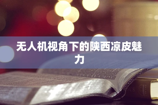 无人机视角下的陕西凉皮魅力
