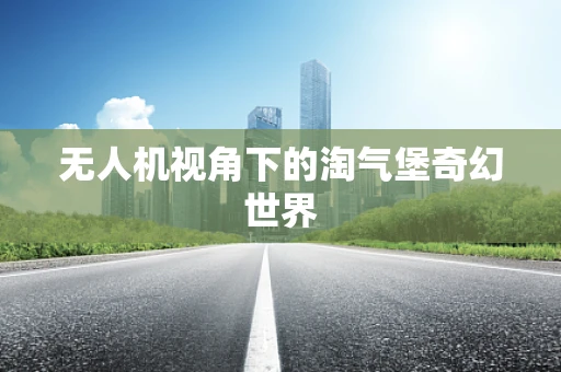 无人机视角下的淘气堡奇幻世界