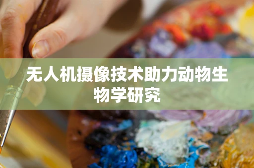 无人机摄像技术助力动物生物学研究