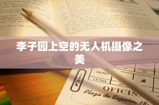 李子园上空的无人机摄像之美