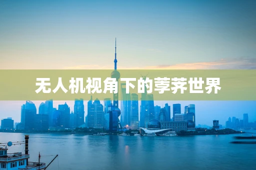 无人机视角下的荸荠世界