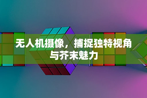 无人机摄像，捕捉独特视角与芥末魅力