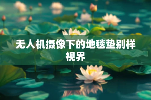 无人机摄像下的地毯垫别样视界