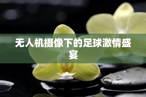 无人机摄像下的足球激情盛宴