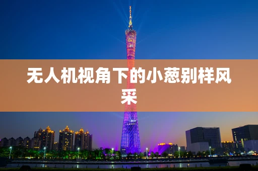 无人机视角下的小葱别样风采