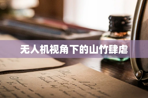 无人机视角下的山竹肆虐