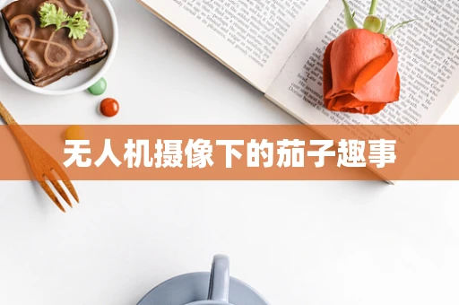 无人机摄像下的茄子趣事