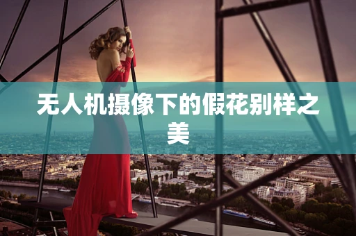 无人机摄像下的假花别样之美