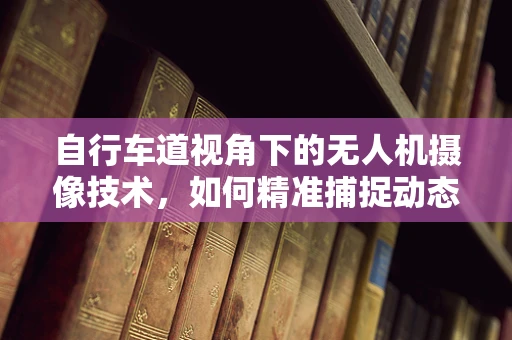 自行车道视角下的无人机摄像技术，如何精准捕捉动态场景？