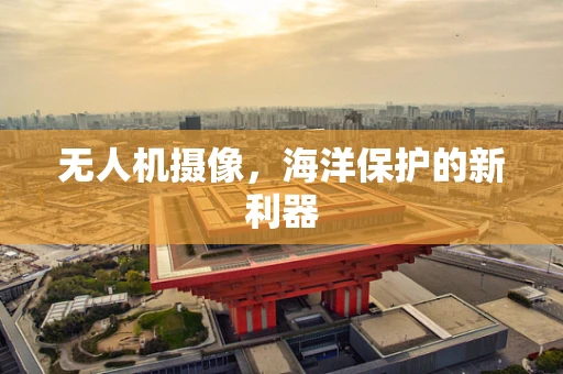 无人机摄像，海洋保护的新利器